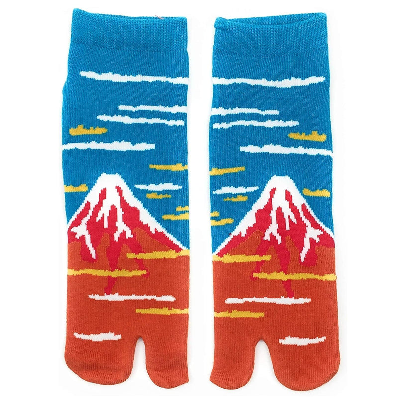 Box of 4 Japanese cotton tabi socks for men