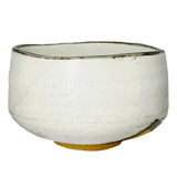 Matcha Bowl Shiro Kohiki