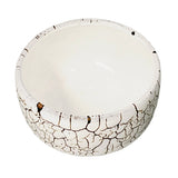 Matcha Bowl Kairagi White Tenmoku