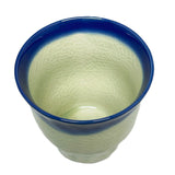 Cup Saishoku Nuriwake Kannyu Fuchi Ao