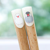 Chopsticks Singing Sparrow