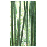 Noren Bamboo Still