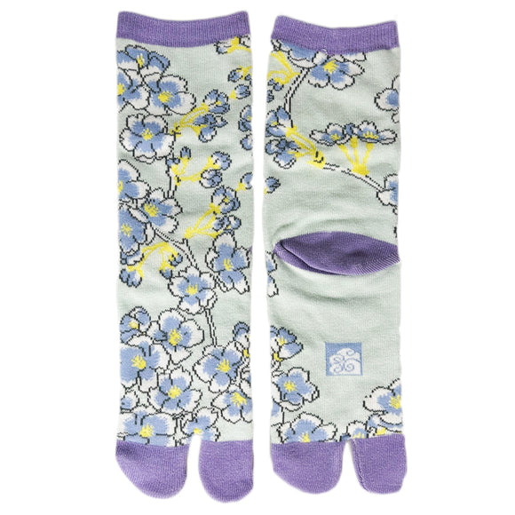 Tabi Socks Shidasakura