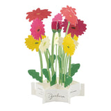 Greeting Card Gerbera