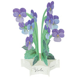 Greeting Card Blooming Mini Viola