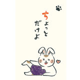 Money Envelopes 3pcs Rabbit