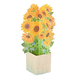 Greeting Card Sun Flower