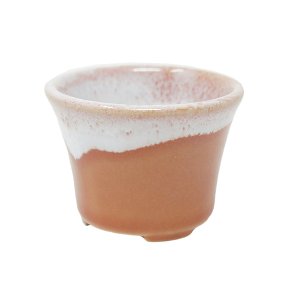 Mini Plant Pot Round Momoiro with Plate