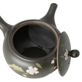 Teapot Tokoname Fusen Shidare Sakura