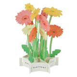 Greeting Card Gerbera