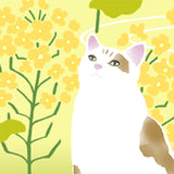 Tenugui Towel Hamamonyo Cat & Rape Blossoms