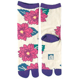 Tabi Socks Hagiku Kinari