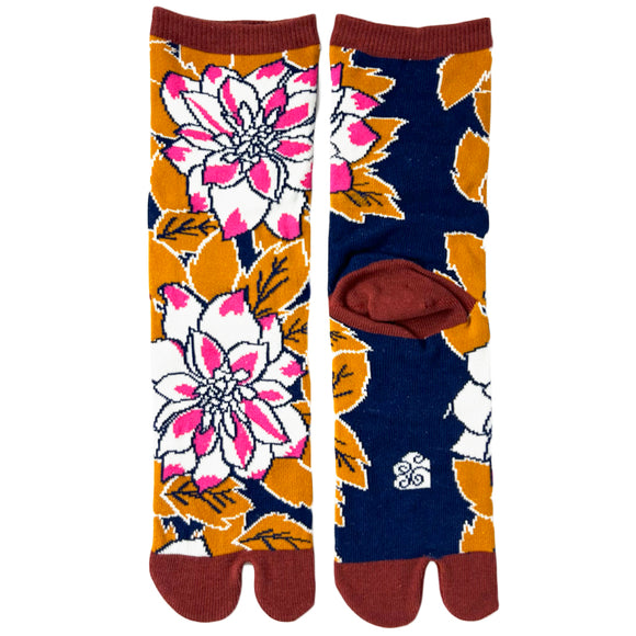 Tabi Socks Risshu Kakoi Ai