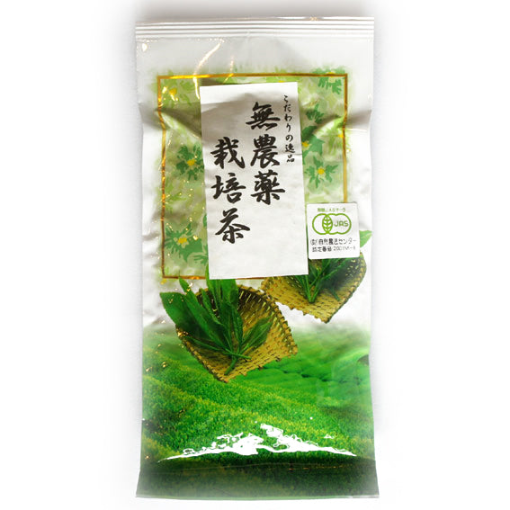 Organic Green Tea from Shizuoka Japan 100g