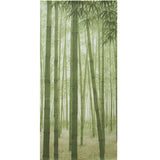 Noren Bamboo Forest