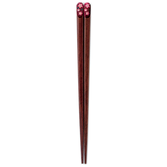 Chopsticks Junrenka Red 20.5cm